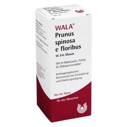 Abbildung: Prunus Spinosa e flor. W 5% Öl, 100 ml PZN 02088708