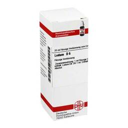 Abbildung: DHU Ledum D 6 Dilution Dilution, 20 ml PZN 02103224