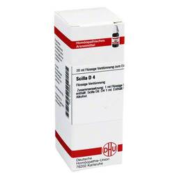 Abbildung: DHU Scilla D 4 Dilution 20 ml, Dilution PZN 02105536