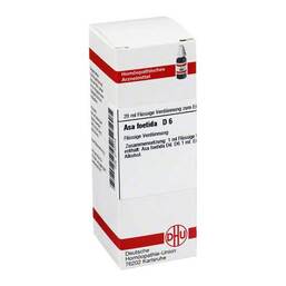 Abbildung: DHU Asa foetida D 6 Dilution 20 ml, Dilution PZN 02110715
