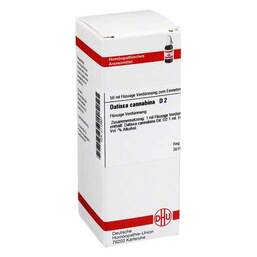 Abbildung: DHU Datisca cannabina D 2 Dilution Dilution, 50 ml PZN 02113607