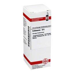 Abbildung: Echinacea HAB D 6 Dilution Dilution, 20 ml PZN 02113978