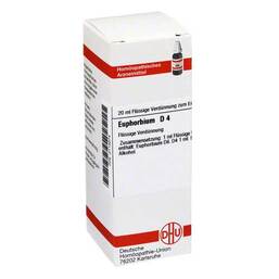 Abbildung: Euphorbium D 4 Dilution Dilution, 20 ml PZN 02114274