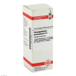 Abbildung: Harpagophytum procumbens D 4 Dilution Dilution, 20 ml PZN 02115339