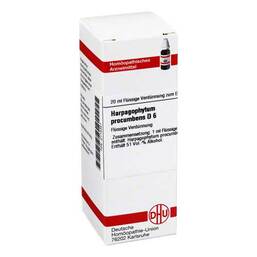 Abbildung: Harpagophytum procumbens D 6 Dilution Dilution, 20 ml PZN 02115351