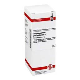 Abbildung: DHU Harpagophytum procumbens D 2 Dilution Dilution, 50 ml PZN 02115368