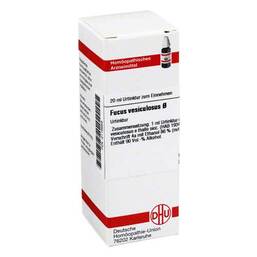 Abbildung: Fucus vesiculosus Urtinktur Dilution, 20 ml PZN 02116959