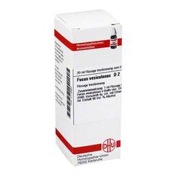 Abbildung: DHU Fucus vesiculosus D 2 Dilution Dilution, 20 ml PZN 02116965