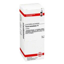 Abbildung: Fucus vesiculosus Urtinktur Dilution, 50 ml PZN 02116971