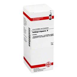 Abbildung: DHU Solidago virgaurea Urtinktur Dilution, 50 ml PZN 02123184