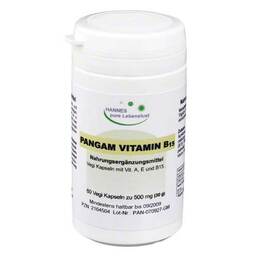 Abbildung: Pangam Vitamin B15 Kapseln 60 St, Kapseln PZN 02164504