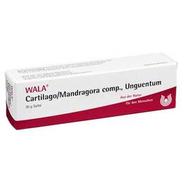 Abbildung: Cartilago / Mandragora comp.Salbe 30 g, Salbe PZN 02198213