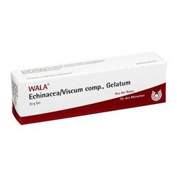 Abbildung: Echinacea / Viscum comp. Gelat Gel, 30 g PZN 02198348