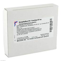Abbildung: Bryophyllum D 5 / Conchae D 7 Ampullen Ampullen, 5X10 ml PZN 02347593