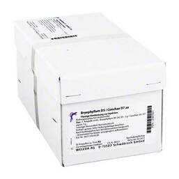 Abbildung: Bryophyllum D 5 / Conchae D 7 Ampullen Ampullen, 50X10 ml PZN 02347601