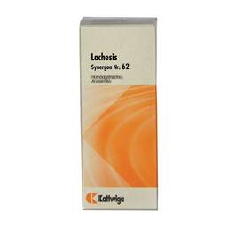 Abbildung: Synergon 62 Lachesis Tropfen Tropfen, 50 ml PZN 02545525