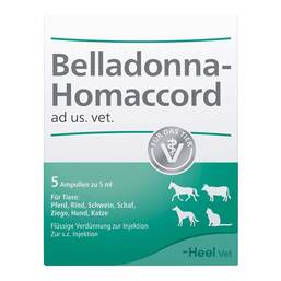 Abbildung: Belladonna Homaccord Ampullen vet. (für Tiere) 5 St, Ampullen PZN 02551626