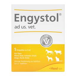 Abbildung: Engystol Ampullen vet. (für Tiere) 5 St, Ampullen PZN 02585051