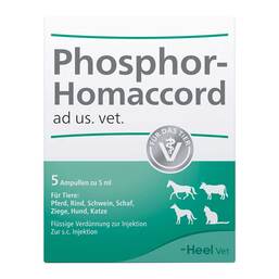 Abbildung: Phosphor Homaccord Ampullen vet. (für Tiere) 5 St, Ampullen PZN 02585097