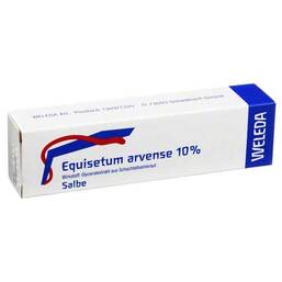 Abbildung: Equisetum arvense 10% Unguen Salbe, 25 g PZN 02593435