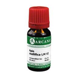 Abbildung: Apis mellifica Arcana LM 6 Dilution Dilution, 10 ml PZN 02600632