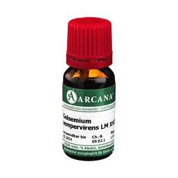 Abbildung: Gelsemium Sempervirens Arcana LM 18 Dilution Dilution, 10 ml PZN 02602097