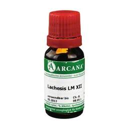 Abbildung: Lachesis Arcana LM 12 Dilution Dilution, 10 ml PZN 02602594