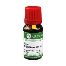 Abbildung: Naja tripudians Arcana LM 6 Dilution Dilution, 10 ml PZN 02602973
