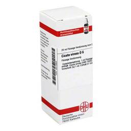 Abbildung: DHU Cicuta virosa D 6 Dilution Dilution, 20 ml PZN 02610955