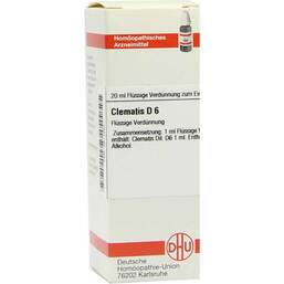 Abbildung: DHU Clematis D 6 Dilution 20 ml, Dilution PZN 02611297