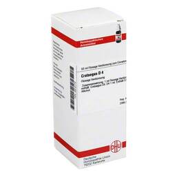 Abbildung: DHU Crataegus D 4 Dilution Dilution, 50 ml PZN 02612173