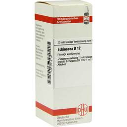 Abbildung: DHU Echinacea HAB D 12 Dilution Dilution, 20 ml PZN 02613126