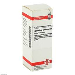 Abbildung: Equisetum arvense D 1 Dilution Dilution, 20 ml PZN 02613215