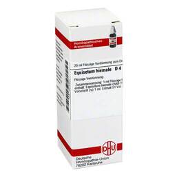 Abbildung: Equisetum hiemale D 4 Dilution Dilution, 20 ml PZN 02613327