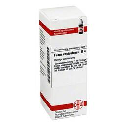 Abbildung: Fucus vesiculosus D 4 Dilution Dilution, 20 ml PZN 02614031