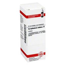 Abbildung: Scrophularia nodosa Urtinktur Dilution, 20 ml PZN 02621605