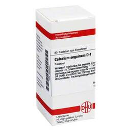 Abbildung: Caladium seguinum D 4 Tabletten Tabletten, 80 St PZN 02626927