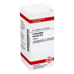 Abbildung: Lachnanthes tinctoria D 6 Tabletten Tabletten, 80 St PZN 02632632