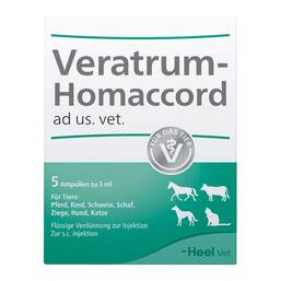 Abbildung: Veratrum Homaccord Ampullen vet. (für Tiere) 5 St, Ampullen PZN 02760198