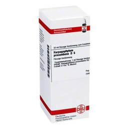 Abbildung: DHU Harpagophytum procumbens D 6 Dilution Dilution, 50 ml PZN 02802471