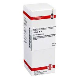 Abbildung: Ledum D 6 Dilution Dilution, 50 ml PZN 02802844