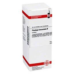 Abbildung: DHU Plantago lanceolata Urtinktur Dilution, 50 ml PZN 02810766