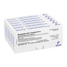 Abbildung: Bryophyllum D 5 / Conchae D 7 Ampullen Ampullen, 48X1 ml PZN 02818414