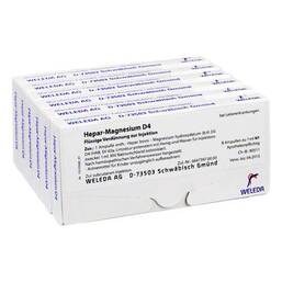 Abbildung: Hepar-Magnesium D 4 Ampullen 48X1 ml, Ampullen PZN 02819388