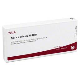 Abbildung: Apis ex animale GL D 30 Ampullen 10X1 ml, Ampullen PZN 02829381