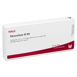 Abbildung: Mesenchym GL D 4 Ampullen Ampullen, 10X1 ml PZN 02829487