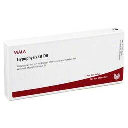 Abbildung: Hypophysis GL D 6 Ampullen Ampullen, 10X1 ml PZN 02829493