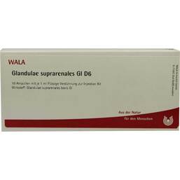 Abbildung: Glandulae suprarenalis GL D 6 Ampullen Ampullen, 10X1 ml PZN 02829582