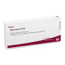 Abbildung: Mesenchym GL D 6 Ampullen 10X1 ml, Ampullen PZN 02829777