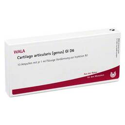Abbildung: Cartilago articularis genus GL D 6 Ampullen 10X1 ml, Ampullen PZN 02830059